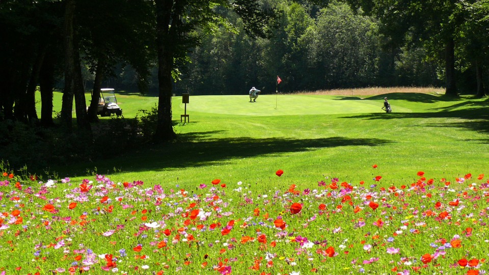 terrain de golf avec des fleurs